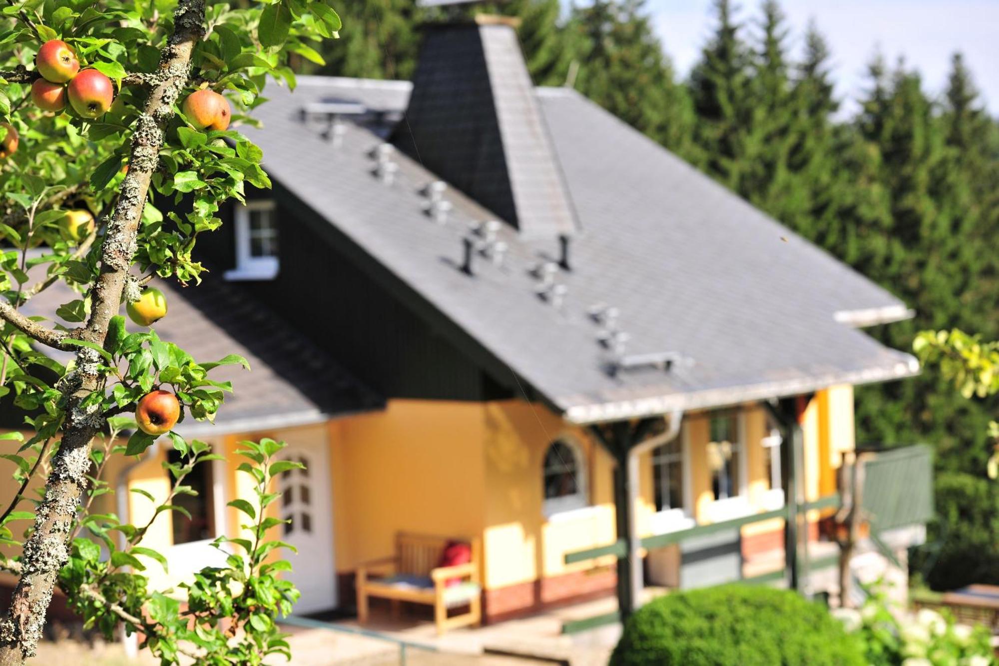 Exklusives Ferienhaus "Waldzauber" Ruhe Und Natur Pur Am Waldrand Geniessen Schönheide Kültér fotó